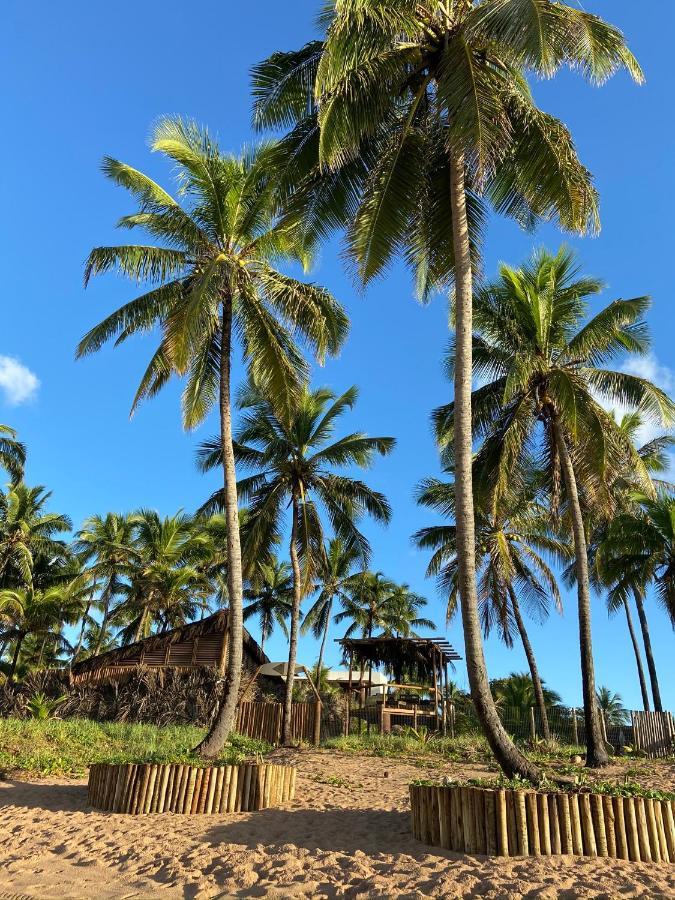 Bahia Surf Camp Abrantes Exterior photo