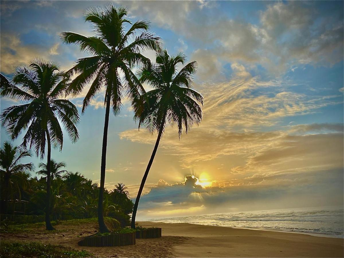 Bahia Surf Camp Abrantes Exterior photo