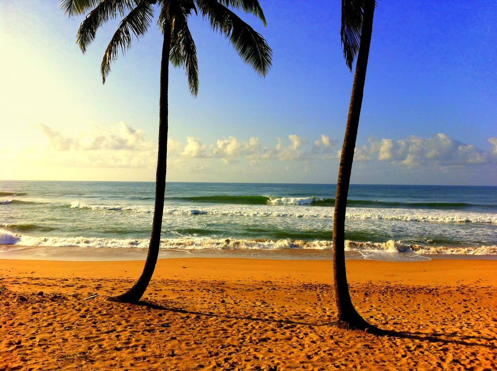 Bahia Surf Camp Abrantes Exterior photo