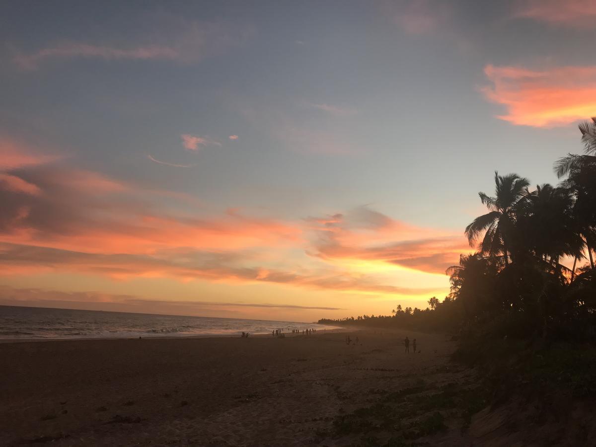 Bahia Surf Camp Abrantes Exterior photo